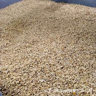 核桃仁物理去皮機(jī) 新疆琥珀核桃仁脫衣去皮設(shè)備直銷生產(chǎn)