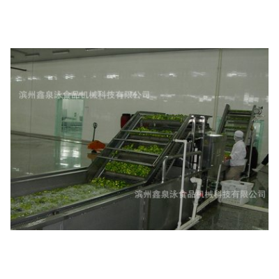 不銹鋼中央廚房蔬菜清洗線、潔凈菜氣泡清洗機