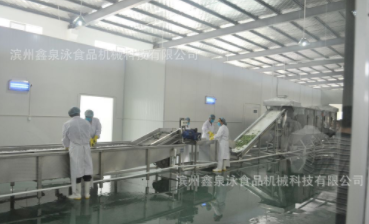 不銹鋼果蔬速凍前處理線 中央廚房蔬菜清洗機