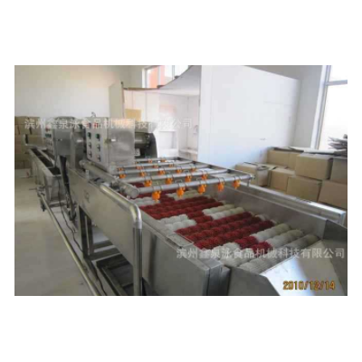 供應不銹鋼紅棗清洗機 紅棗清洗生產線 廠價直銷紅棗選果機