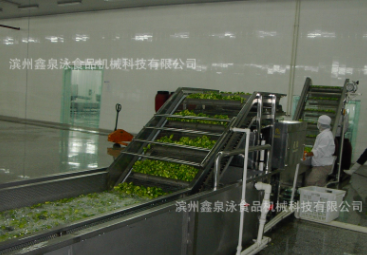 不銹鋼汽泡清洗機 蔬菜清洗機 機械手清洗機 中央廚房洗菜機