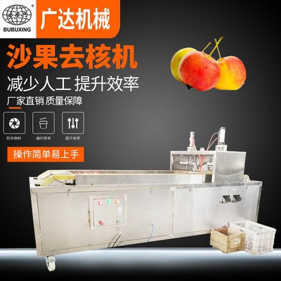 可生產(chǎn)通孔沙果去核機(jī) 山楂去籽機(jī)廠家 海棠果去核機(jī)廠家直銷