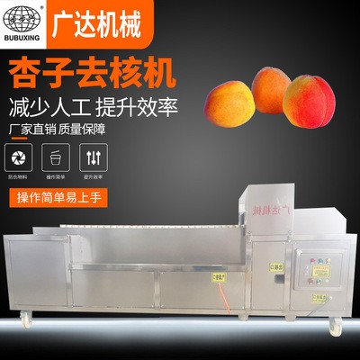 廠家供應(yīng) 杏子去核機(jī) 全自動新型去核機(jī) 去核機(jī)