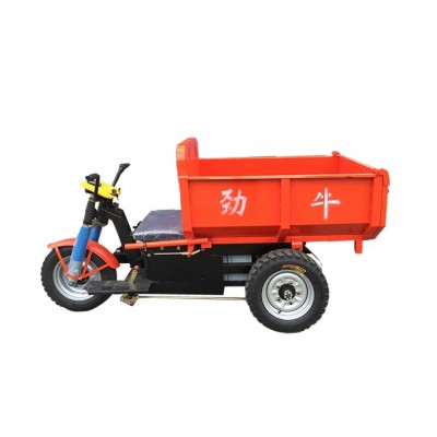 佛山三輪車(chē)廠家直銷(xiāo)電動(dòng)三輪車(chē) 可定做直板三輪型 可樓頂運(yùn)輸使用