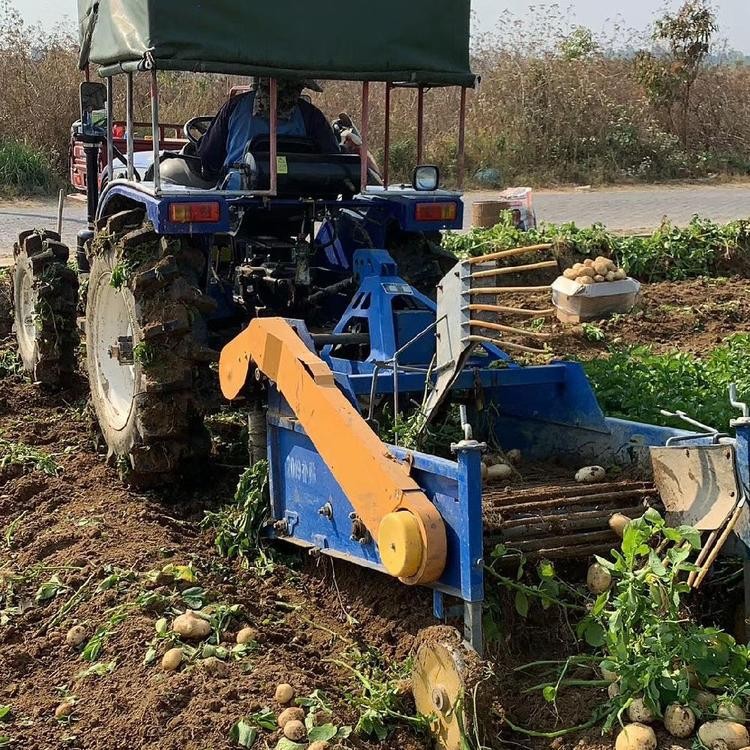 定制地下薯類挖獲機 地瓜收獲殺秧機 拖拉機帶土豆紅薯收獲機