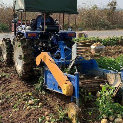 定制地下薯類挖獲機 地瓜收獲殺秧機 拖拉機帶土豆紅薯收獲機