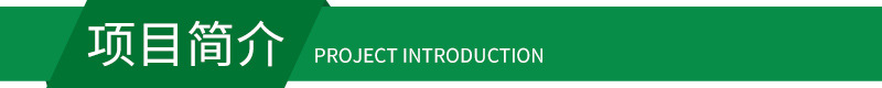 項目簡介