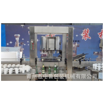 全自動灌裝機(jī)械設(shè)備 功能飲料灌裝機(jī) 12頭全自動灌裝機(jī)械W