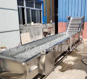 壽光全自動蔬菜清洗機 氣泡沖浪洗菜機 果蔬沖洗線 新鮮果蔬