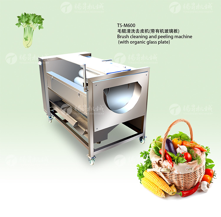 TS-M600清洗去皮機(750px)_01.jpg