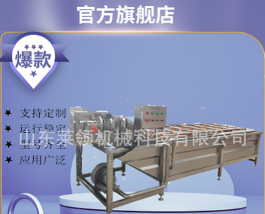氣泡沖浪噴淋洗果機 龍須菜車前草清洗機器 中草藥薄荷氣泡清洗機