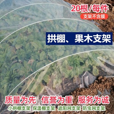 蔬菜棚支架保溫棚花棚小拱棚拱桿農(nóng)用園藝大棚骨架農(nóng)業(yè)玻璃鋼拱竿