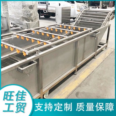 西蘭花菜花清洗機 龍須菜清洗設備 不銹鋼果蔬氣泡清洗流水線