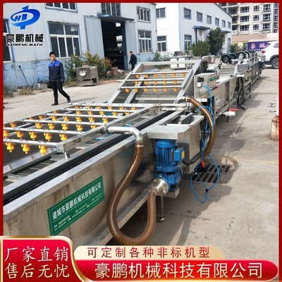 多功能果蔬氣泡清洗機 全自動蔬菜辣椒清洗機 凈菜加工設備