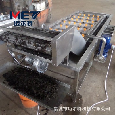 供應葉類蔬菜清洗機 根莖類蔬菜氣泡清洗機 圣女果清洗機支持定做