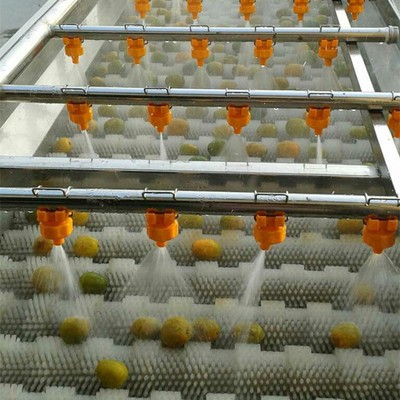 全自動柑桔清洗機 優(yōu)質不銹鋼制作氣泡清洗機 水果加工清洗設備