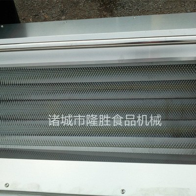 核桃栗子毛輥式清洗機 花生清洗機 藥材清洗去皮加工設備