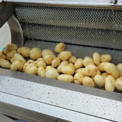 毛刷輥生姜去皮機商用土豆脫皮機新型紅薯芋頭蘿卜清洗去皮機直供