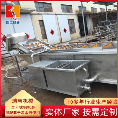 軟包裝袋清洗去污設備 氣泡式竹筍翻浪清洗機 毛豆豆角專用清洗機