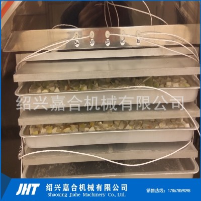 全自動真空凍干機器 方便面蔬菜包冷凍干燥設備 蟲草參片凍干機