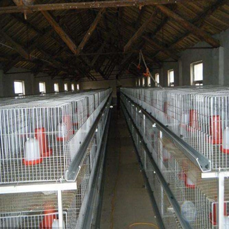 河南雞籠之鄉(xiāng)銷售立式育雛籠 、層疊育雛籠讓養(yǎng)殖變的更輕松