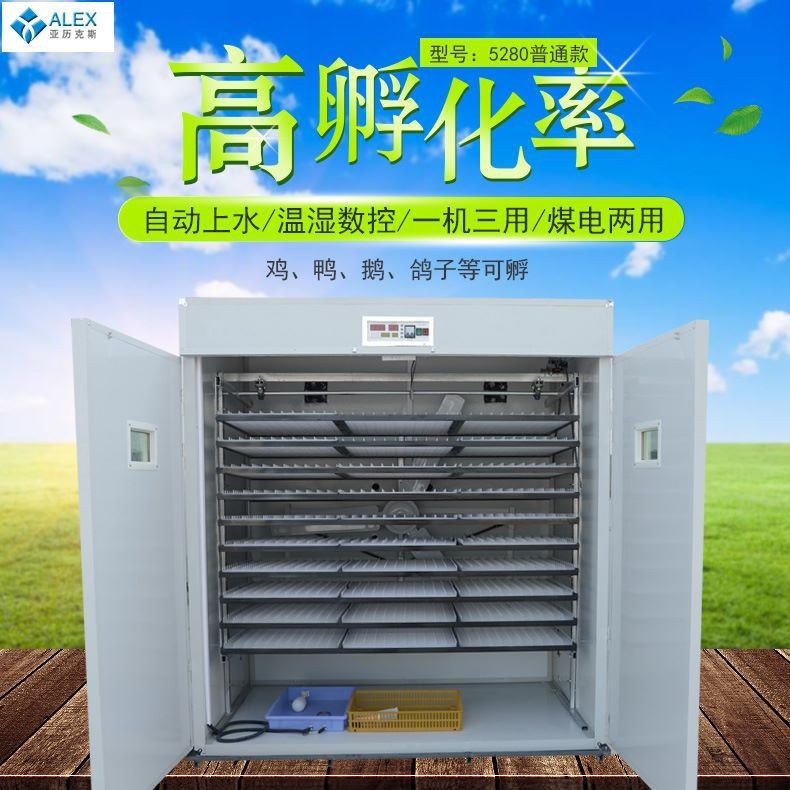 大型智能恒溫孵化機 5280工業(yè)機孵卵器 全自動雞鴨鴿子孵蛋器配件