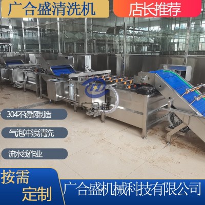 定制葉菜類凈菜氣泡式清洗機蔬菜清洗風干流水線蘋果水果清洗機