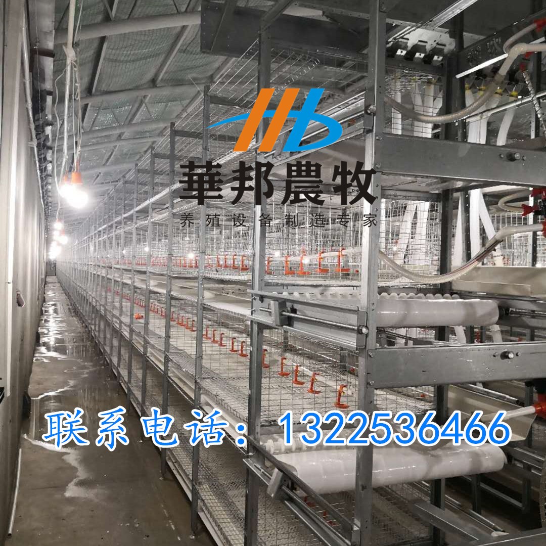 三黃雞 肉雞籠養(yǎng)設(shè)備料盤式自動清糞三層籠養(yǎng)設(shè)備雞籠養(yǎng)殖設(shè)備
