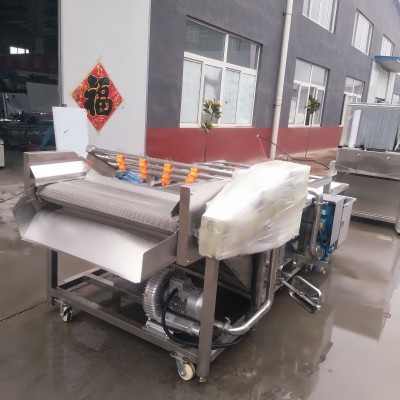 江蘇龍蝦清洗機 廠家供應(yīng)小龍蝦氣泡超聲波清洗機流水線