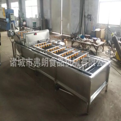 果蔬清洗風干分級成套設備 商用不銹鋼氣泡清洗機 荔枝氣泡清洗機