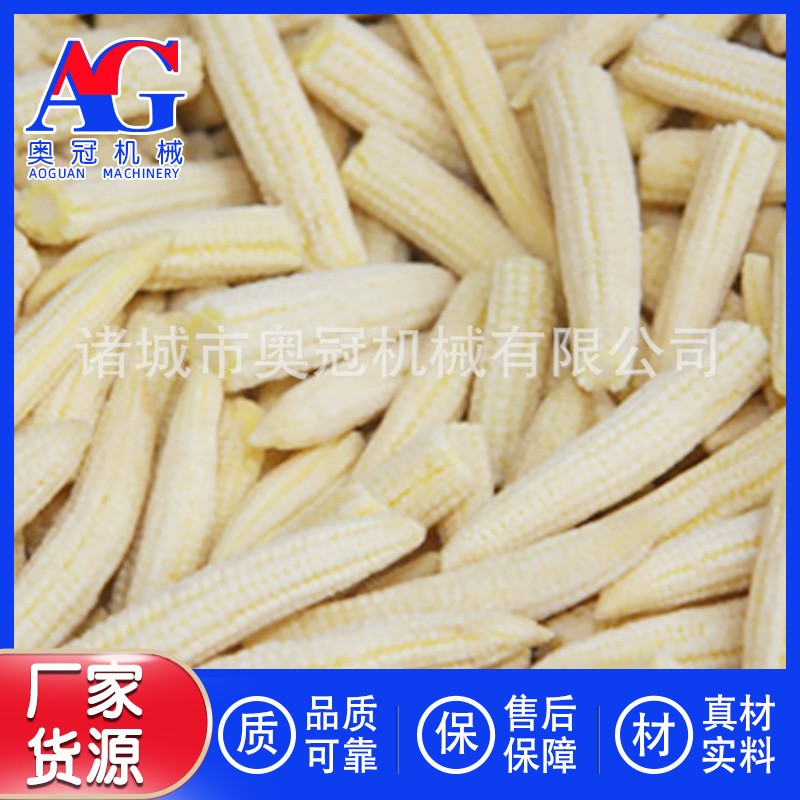 速凍青毛豆制作設備 隧道式速凍機 壓縮機制冷快速冷凍制作機器