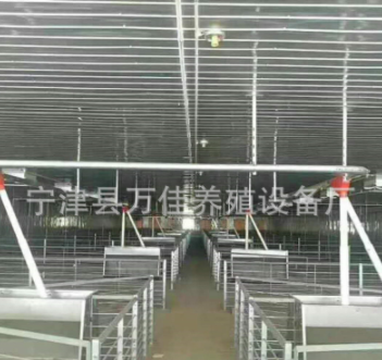 養豬自動喂料機械 豬舍不繡鋼食槽型號訂做