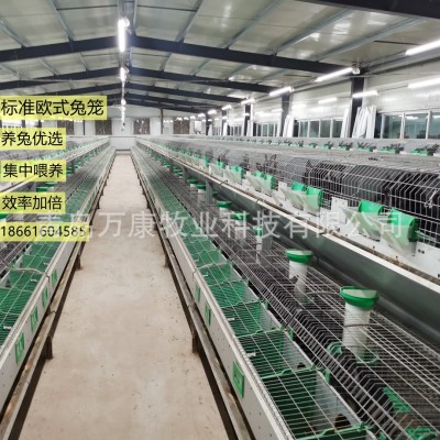 養(yǎng)兔子的設(shè)備兔籠 兔舍歐式雙層籠具繁育一體籠