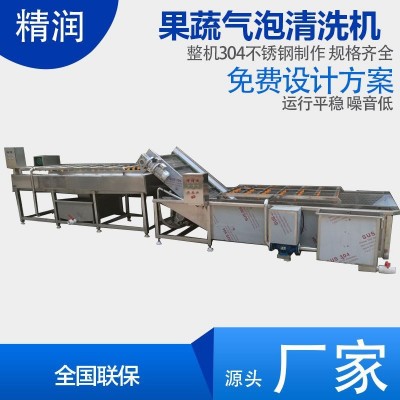 精潤水果分級清洗機(jī) 杏子桃子清洗機(jī) 農(nóng)業(yè)項目設(shè)備