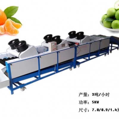 水果機 毛刷清洗機 臍橙馬鈴薯分級機 廠家直銷 果蔬洗果設備