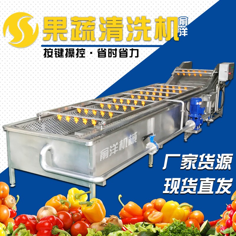 全自動果蔬氣泡清洗機 噴淋式氣泡清洗機 不銹鋼葉菜大棗清洗線