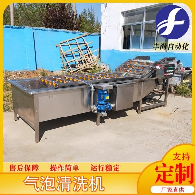 小龍蝦圣女果高壓氣泡清洗 小油菜果蔬清洗機 凈菜清洗流水線設備
