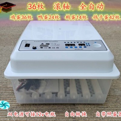 孵化機家用 滾軸雞鴨鵝卵蛋36枚孵蛋小型迷你孵化箱全自動 孵蛋器