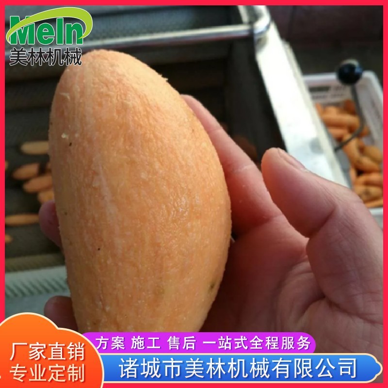 土豆根莖類毛輥清洗機(jī) 海蠣子扇貝毛刷去泥清洗機(jī) 全自動(dòng)清洗設(shè)備