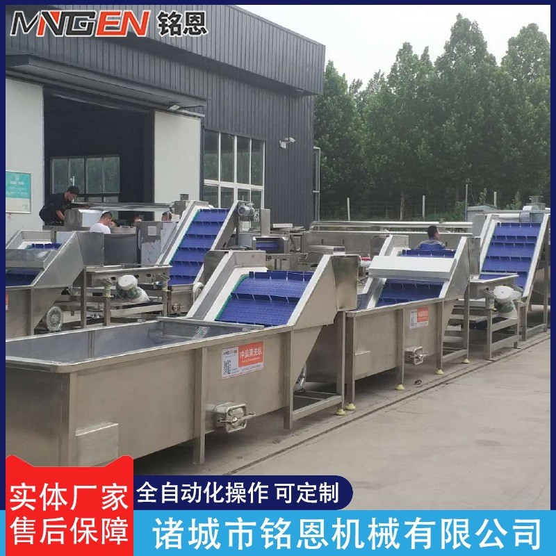 全自動(dòng)果蔬清洗機(jī) 鼓泡噴淋沖浪清洗機(jī) 不銹鋼玉米蔬菜氣泡清洗機(jī)