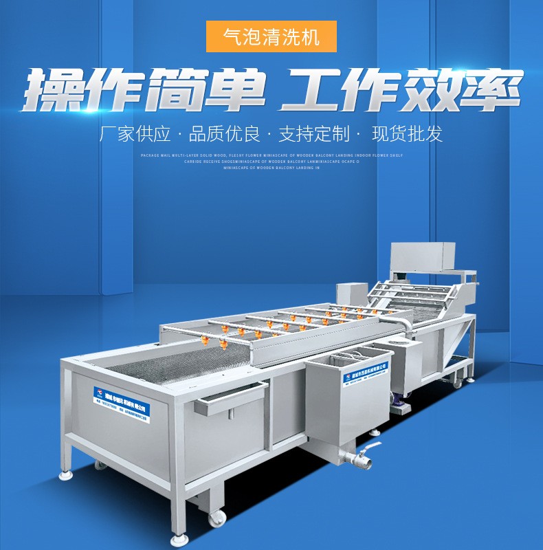 大型蔬菜清洗機(jī) 多功能全自動(dòng)氣泡清洗機(jī) 噴淋式果蔬加 工設(shè)備