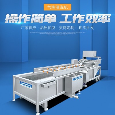 大型蔬菜清洗機 多功能全自動氣泡清洗機 噴淋式果蔬加 工設(shè)備