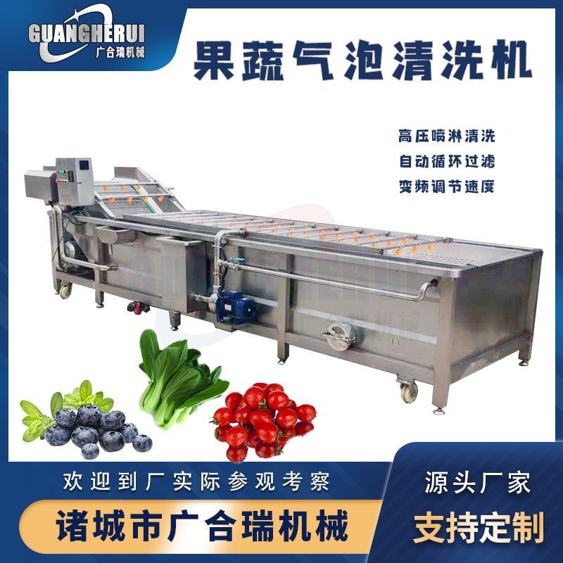 果蔬氣泡清洗機(jī) 大姜白菜毛豆蔬菜高壓噴淋清洗設(shè)備 全自動(dòng)洗菜機(jī)