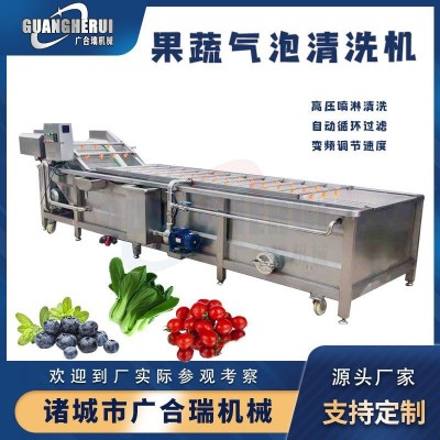 果蔬氣泡清洗機(jī) 大姜白菜毛豆蔬菜高壓噴淋清洗設(shè)備 全自動(dòng)洗菜機(jī)