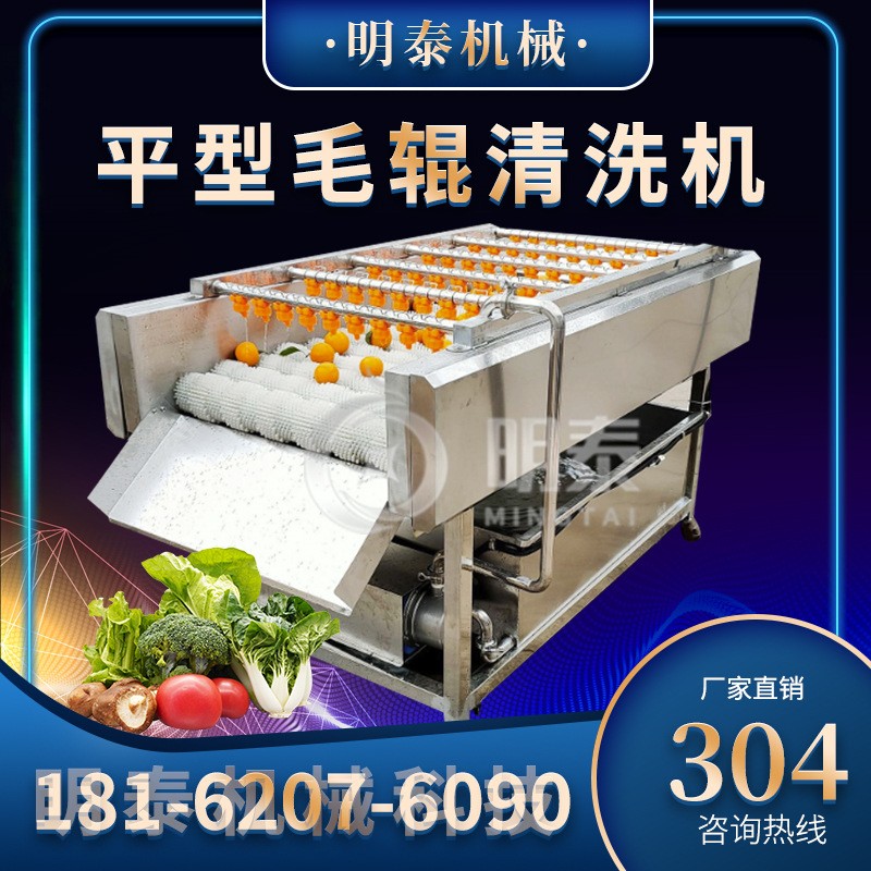 多功能毛輥清洗機小型土豆生蠔蓮藕去泥土清洗設備商用生姜去皮機