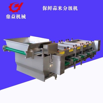 全自動大蒜加工流水線 蒜瓣分選機 干蒜米加工設備廠家供應