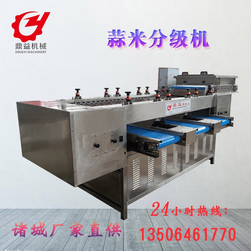 蒜米分揀分選機設(shè)備 大型蒜瓣分選機 篩選設(shè)備廠家直供