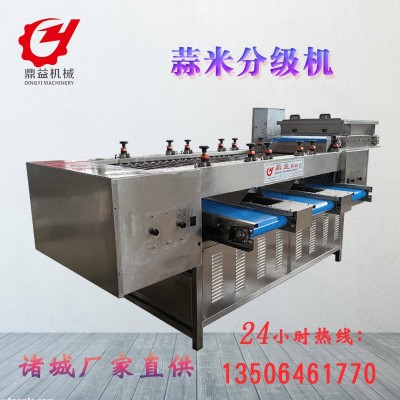蒜米分揀分選機設備 大型蒜瓣分選機 篩選設備廠家直供