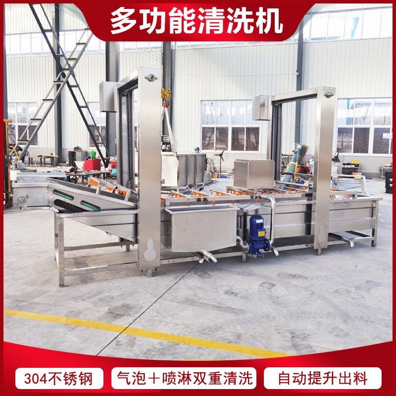 玫瑰花氣泡清洗機 桃子去毛去雜噴淋清洗機 四川菊花鼓泡清洗設(shè)備