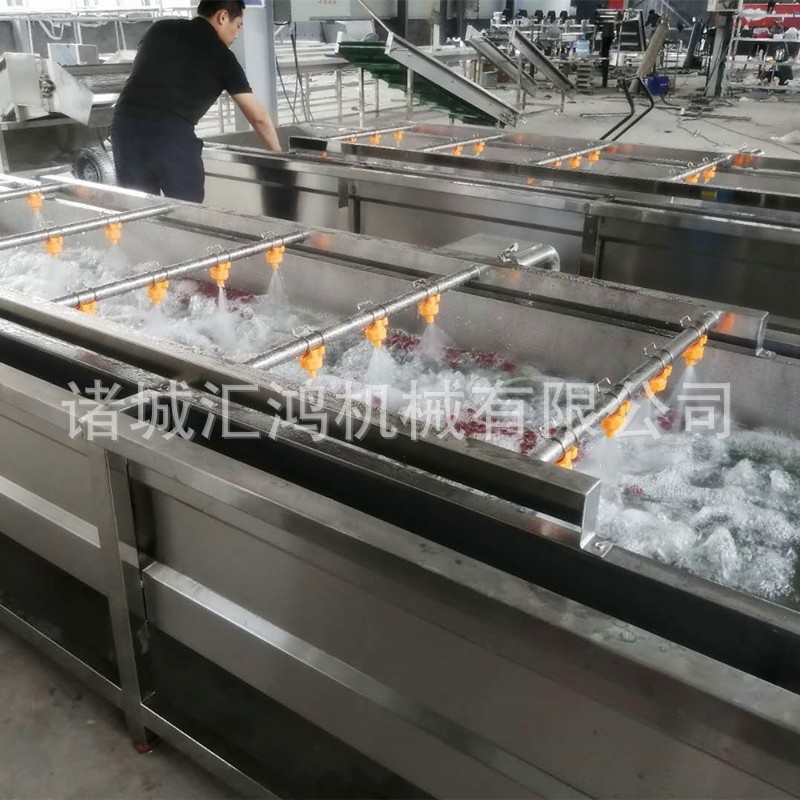 紅棗全自動清洗機 鮮棗水果氣泡清洗線 連續(xù)洗棗機器廠家